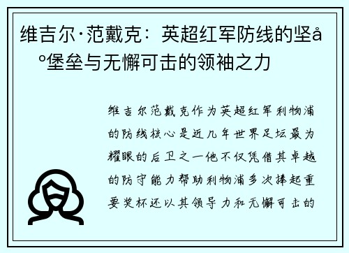 维吉尔·范戴克：英超红军防线的坚固堡垒与无懈可击的领袖之力